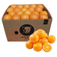Voordeeldoos perssinaasappelen